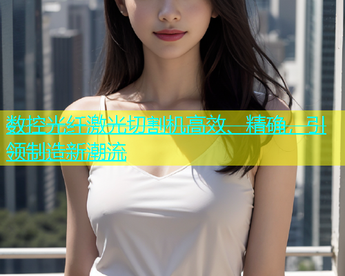 数控光纤激光切割机高效、精确，引领制造新潮流(图2)
